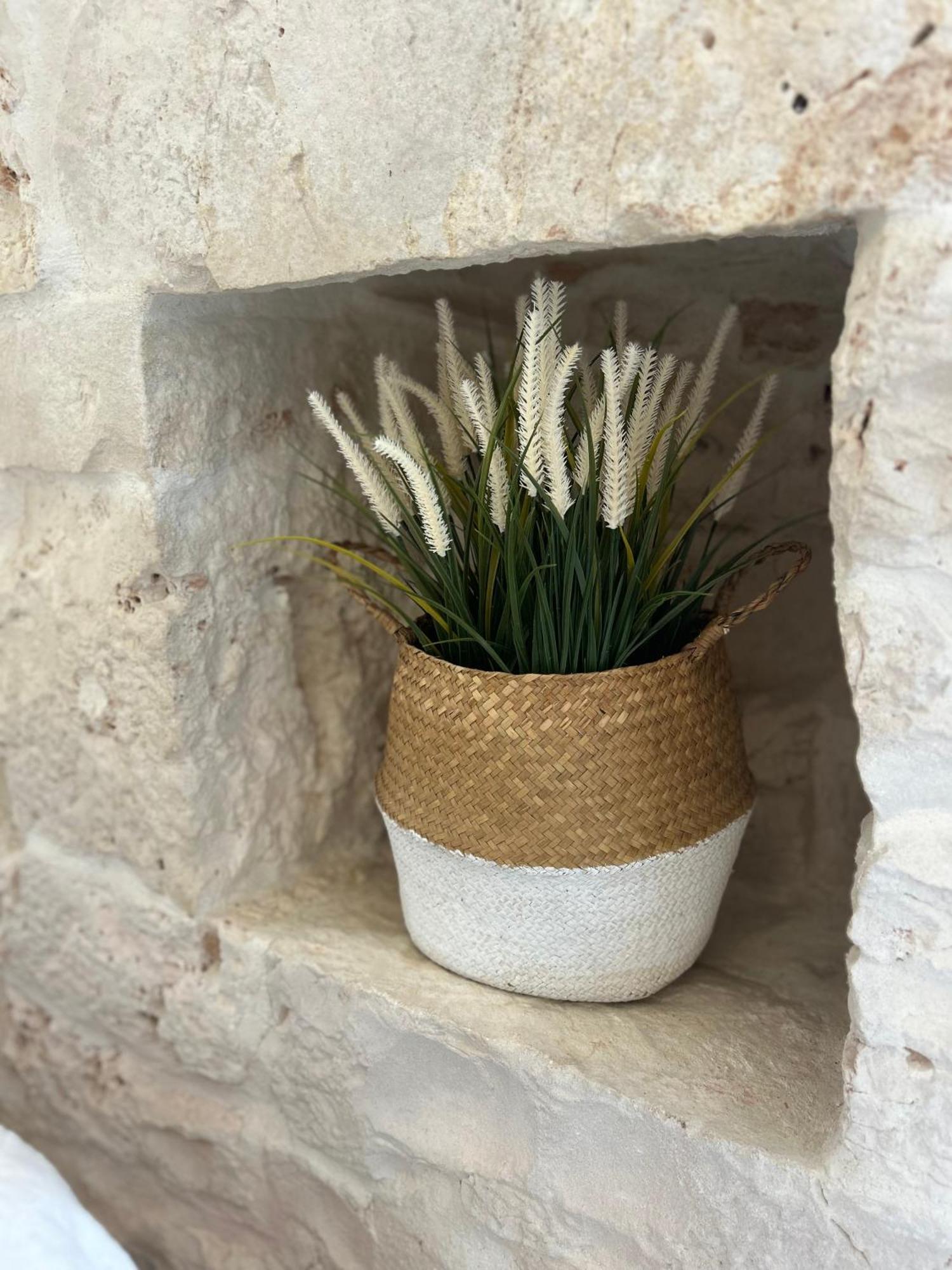 Gasthaus Trulli In Contrada - Monopoli Exterior foto