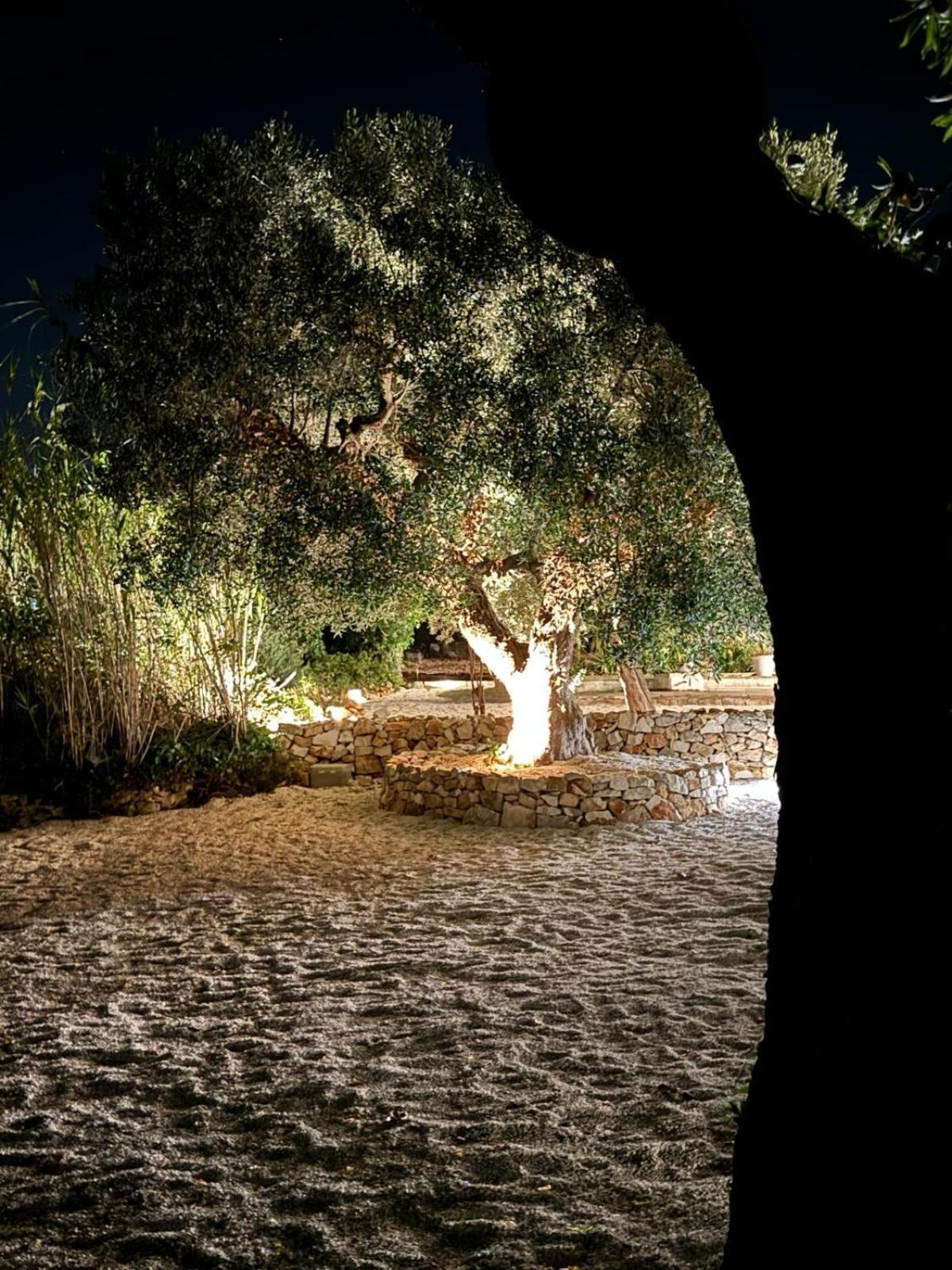 Gasthaus Trulli In Contrada - Monopoli Exterior foto